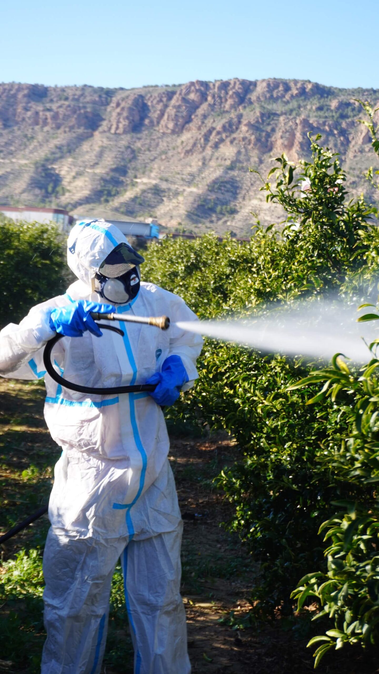 Home fumigacionpistolainicio
